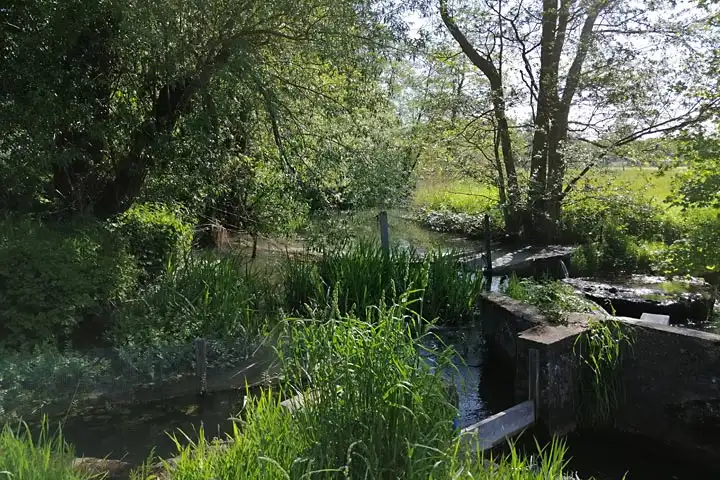 Der Übergang vom Röbbelbach in die Teichanlage in Klein Hesebeck